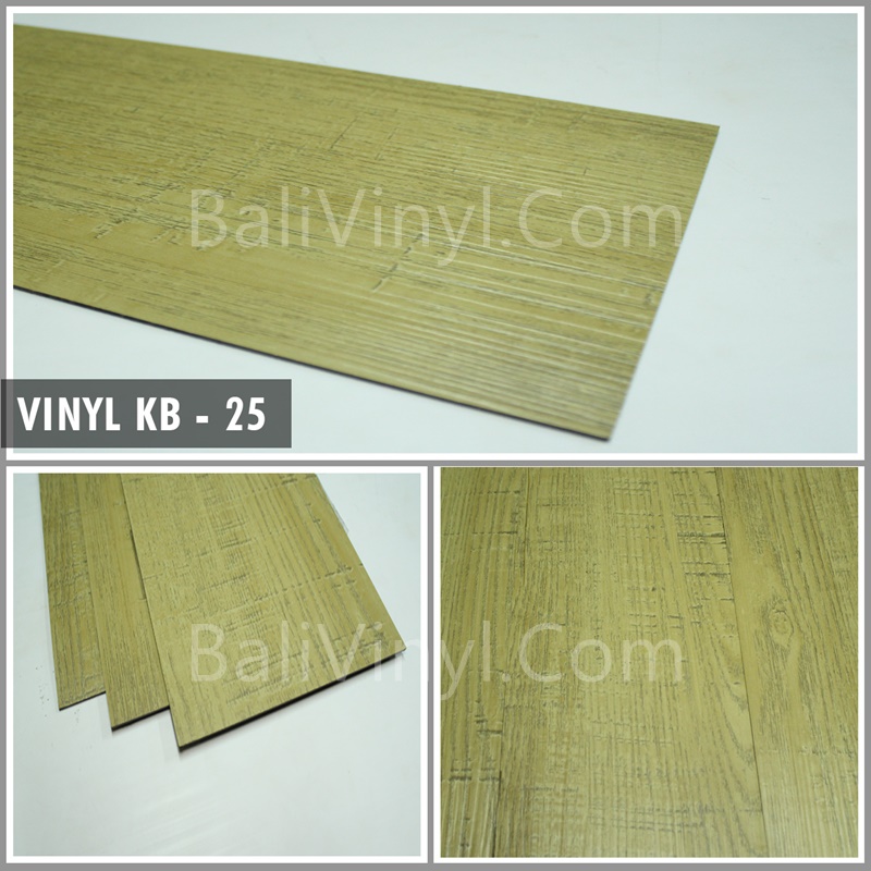 Vinyl Kang Bang di Bali